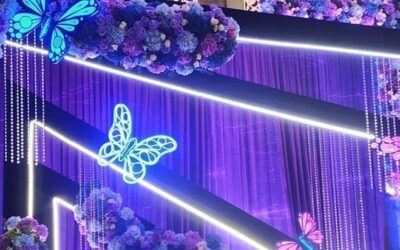 Kinetic butterflies